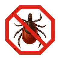 Anti-tekensets