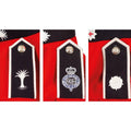Echte Britse legerjas uniform tuniek rode jurk scharlaken bewakers cavalerie