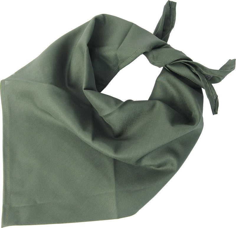 Green bandana on a white background