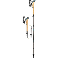 LEKI Cressida FX Carbon Trekkingstokken Dames Opvouwbaar Wandelpaar 100-120 cm