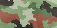 M93 Eikenblad