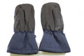 Originele Nederlandse leger wanten NAVO winterhandschoenen militaire blauwe marine maritiem nieuw