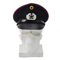 Originele Duitse brandweerbrigade pet kokarde BGS badge blauw